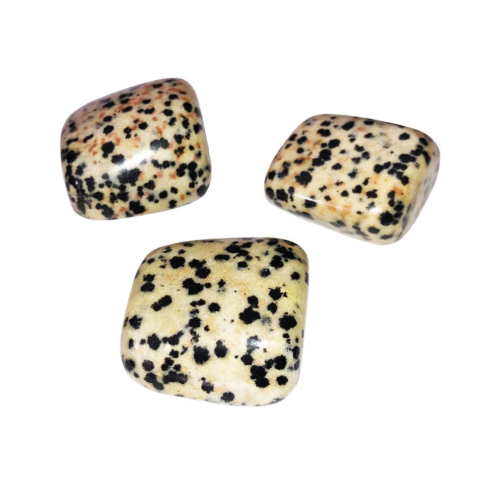 JASPE DALMATIEN