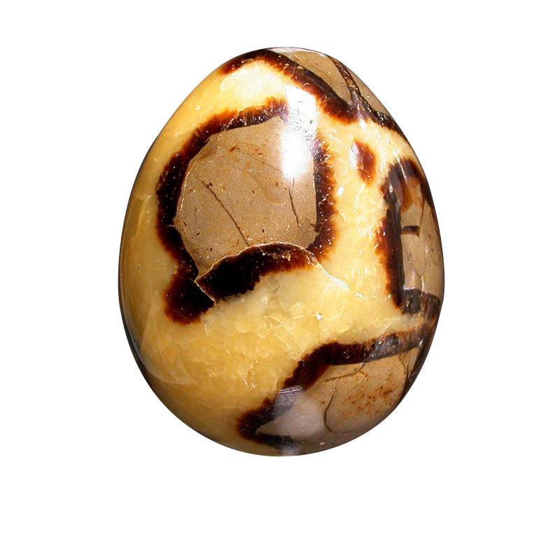OEUF DE SEPTARIA SAUVAGE